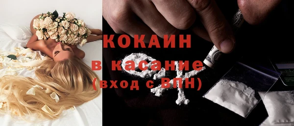 дживик Кулебаки