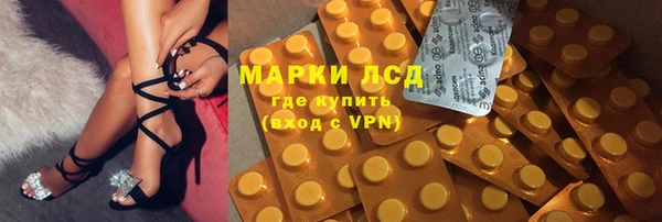 ECSTASY Кукмор
