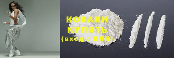 дживик Кулебаки