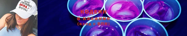 ECSTASY Кукмор