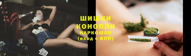 дживик Кулебаки