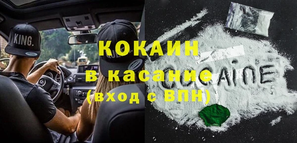дживик Кулебаки