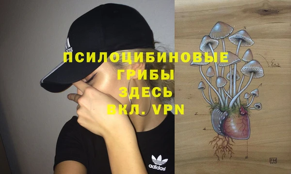 дживик Кулебаки