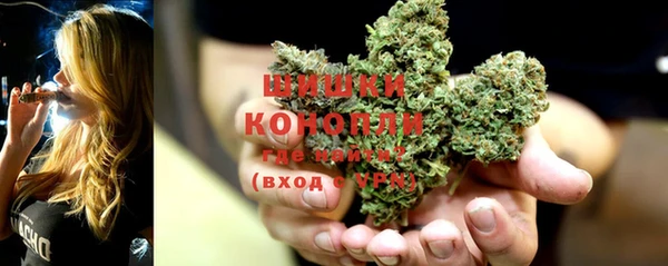 ECSTASY Кукмор