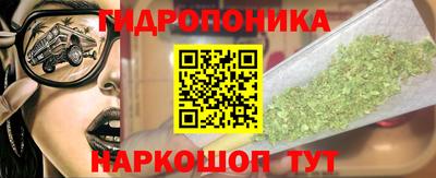 СК Гагарин