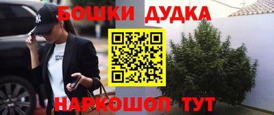 не бодяженный Гай