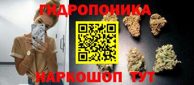 дмт Гатчина