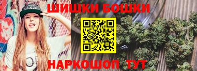 дмт Гатчина