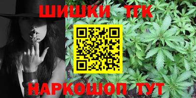 дмт Гатчина