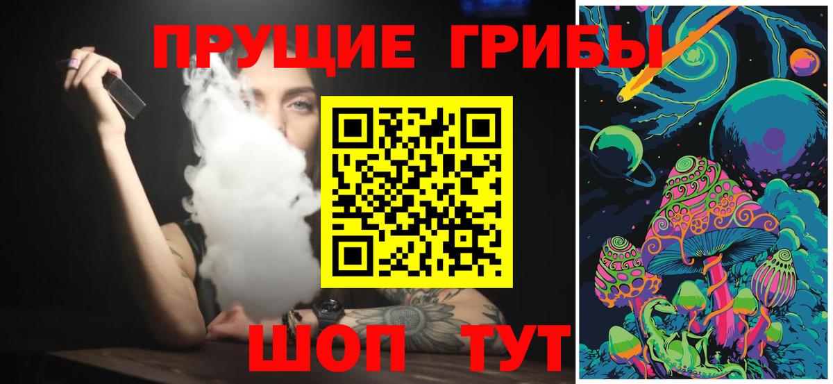 Псилоцибиновые грибы Psilocybe Керчь