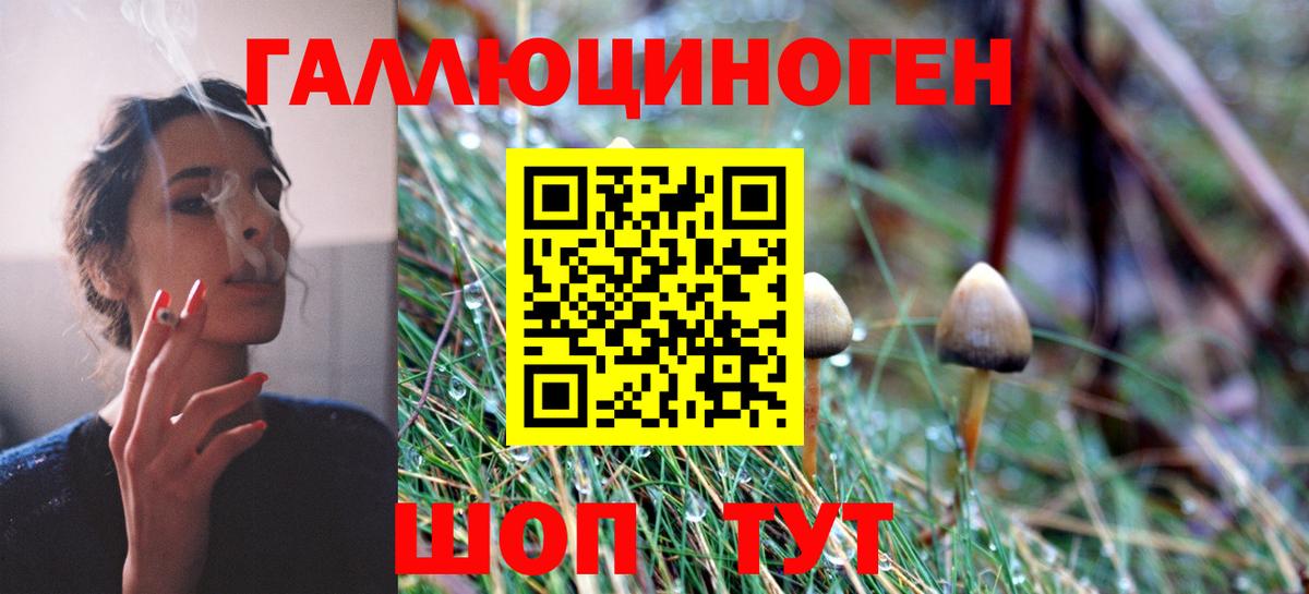 наркота  Вход с VPN  Псилоцибиновые грибы ЛСД  Керчь  Галлюциногенные грибы ЛСД 
